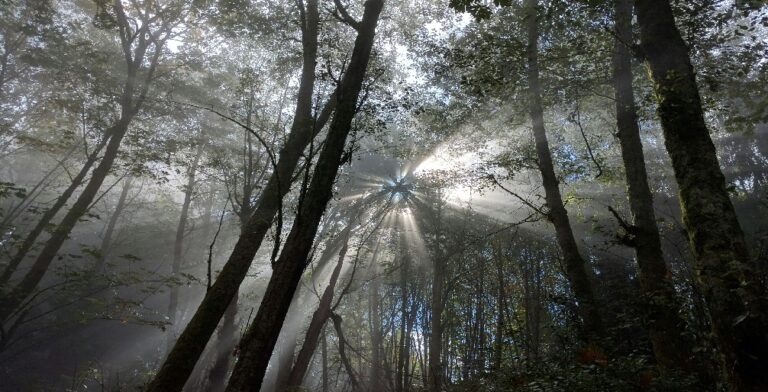Choosing Presence (Men’s Retreat) – January 23-25, 2026